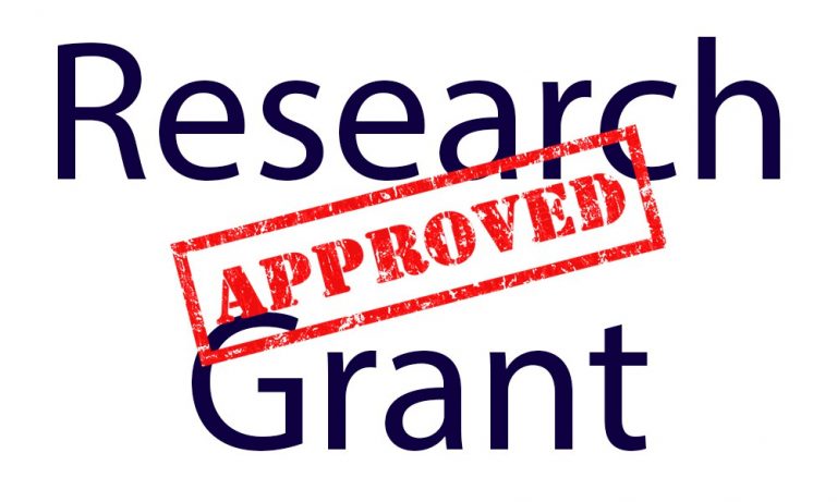 Undergrad Research and Service Grant