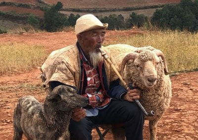 Man smoking a long pipe in the hills of Yunnan, China. Sitting in between his dog and a ram.