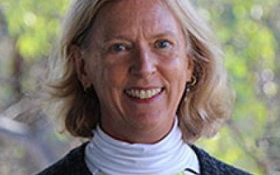 In Memoriam: Susan K. Sell, Professor Emerita of Political Science and International Affairs