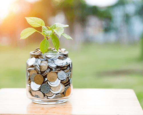 Plant growing from coin jar