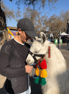 Jason Katz with a llama in Chile