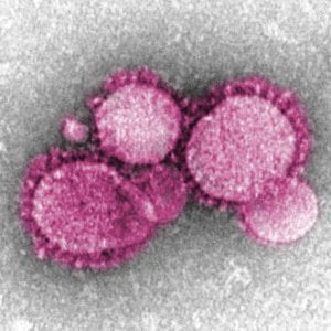 coronavirus image