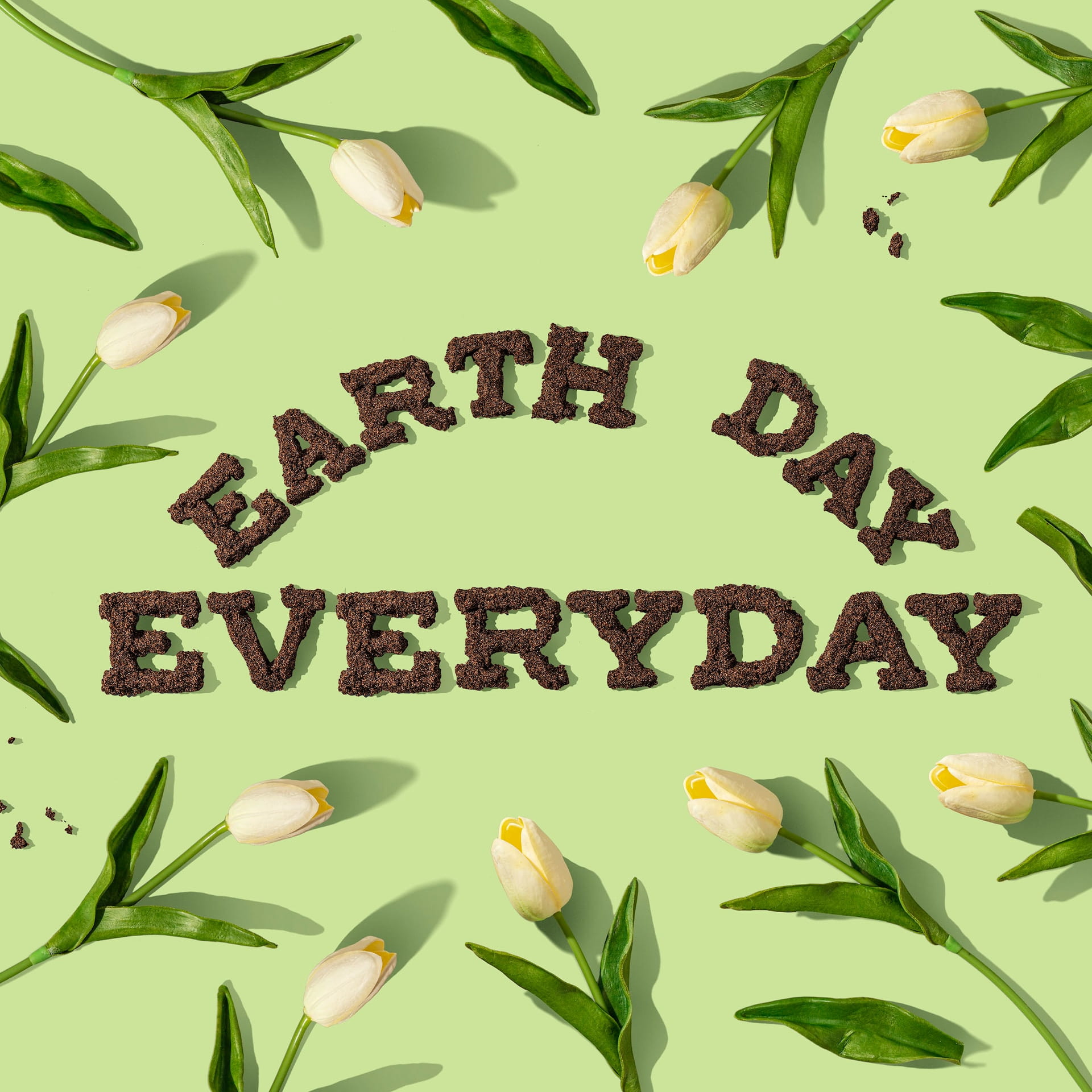 Earth Day Image from Unsplash website.