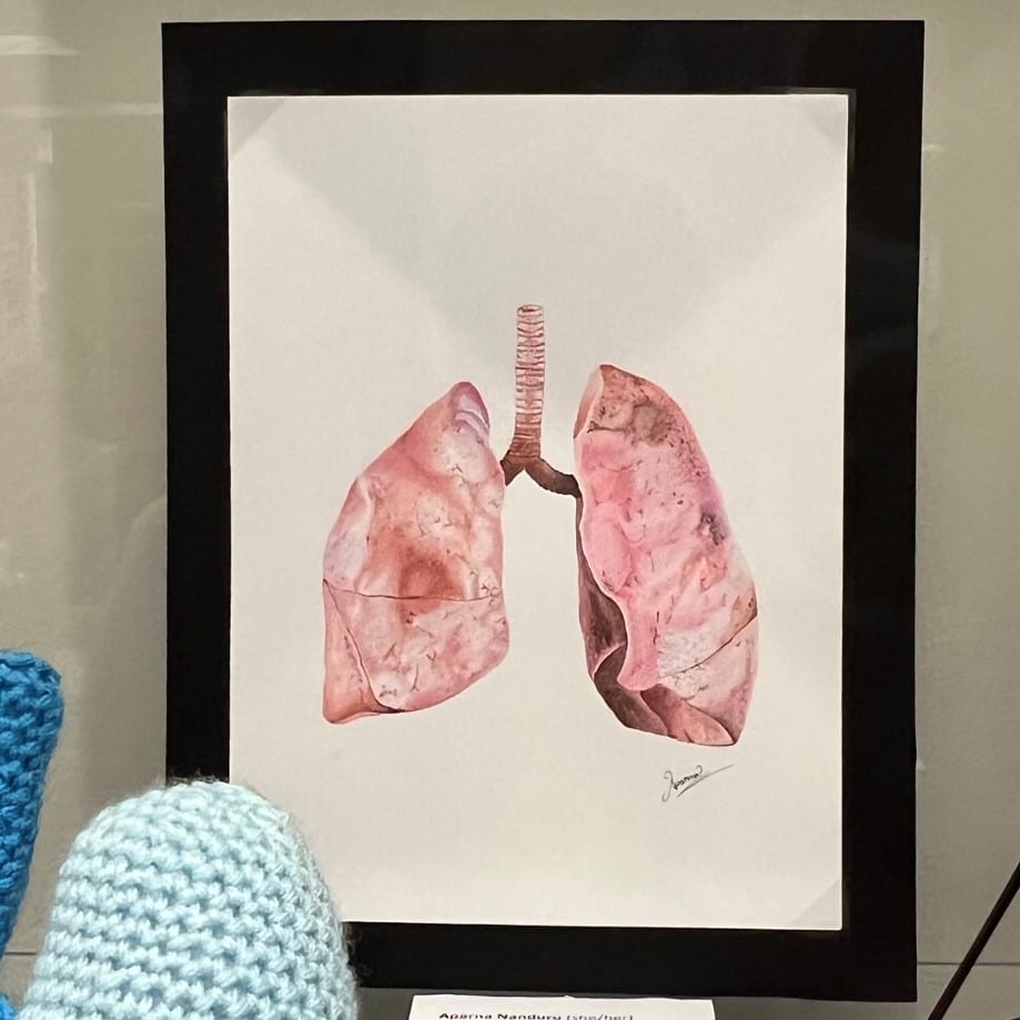 Watercolor painting of lungs.