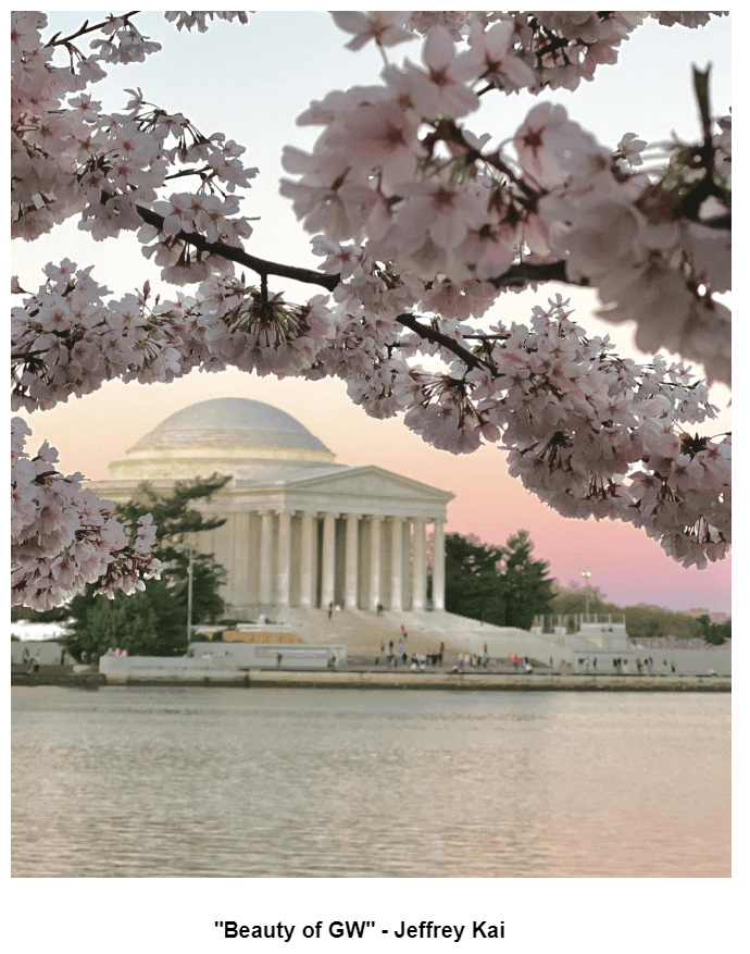 Interview with Himmelfarb Library’s Cherry Blossom Photo Contest Winner: Jeffrey Kai