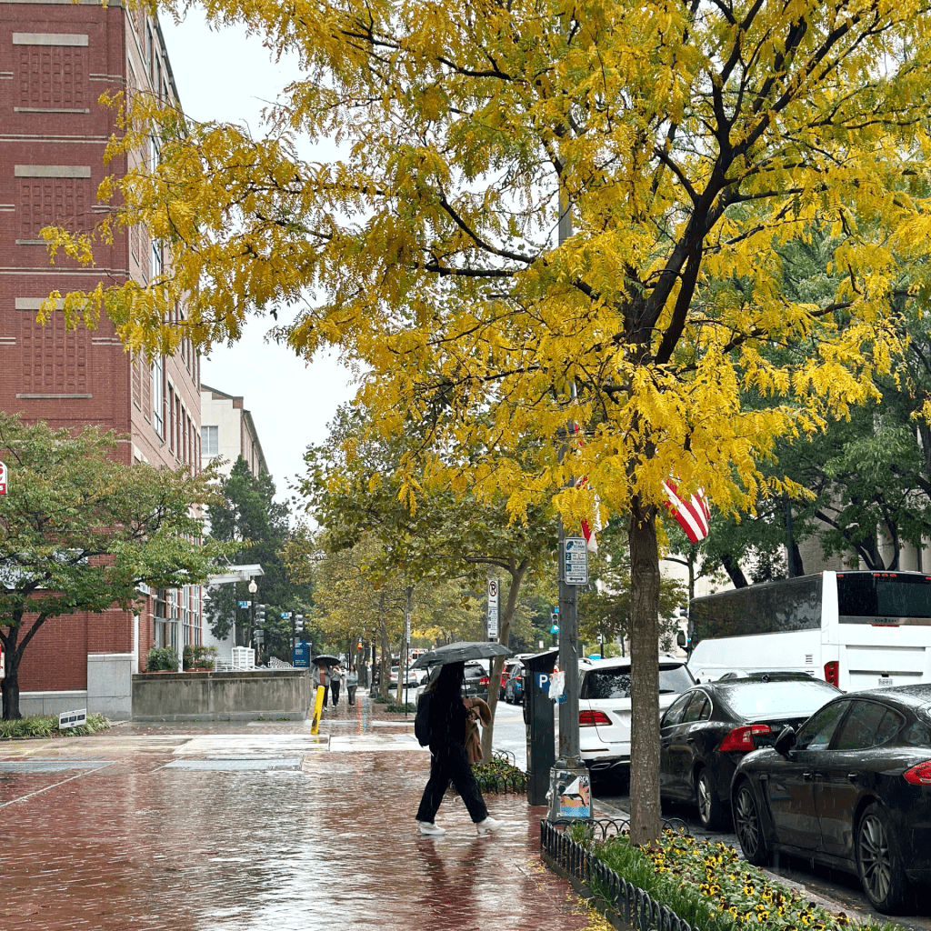 The image depicts a person walking in the rain in a city setting. 