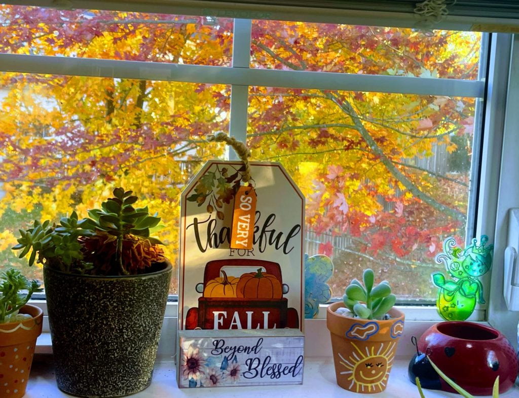 A window with potted plants, possibly with a floral design. Text mentions "Thankful for Fall" and  "Beyond Blessed."