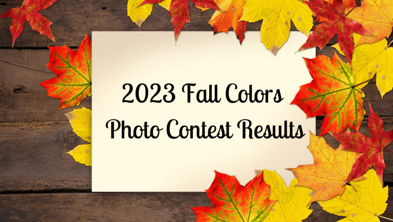 Fall Colors Photo Contest Results!