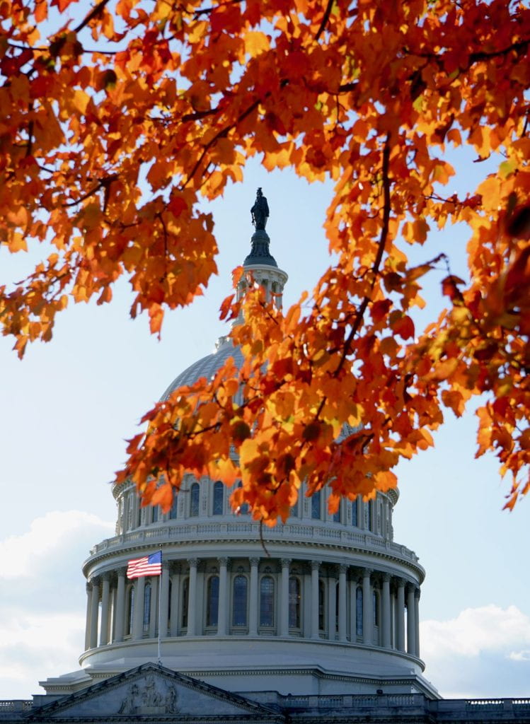 A tree with orange leaves framing the US Capitol Building, set against a blue sky. 