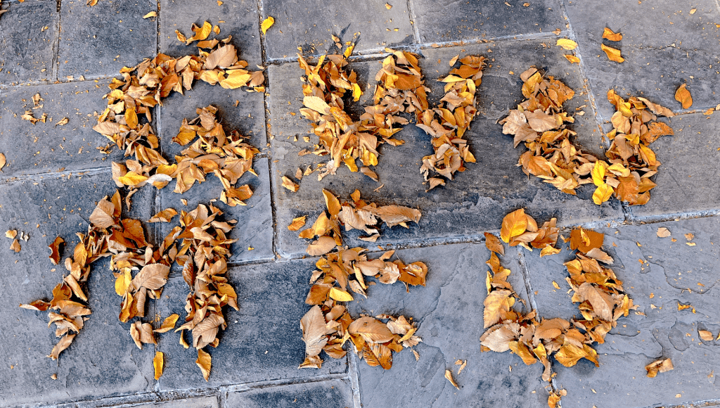 The image depicts a group of autumn leaves scattered on the ground to spell "GWU MED."