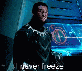 Blank Panther gif saying, "I never freeze."